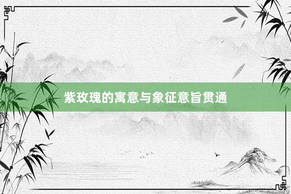 紫玫瑰的寓意与象征意旨贯通