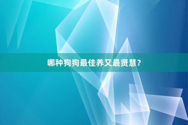 哪种狗狗最佳养又最贤慧？