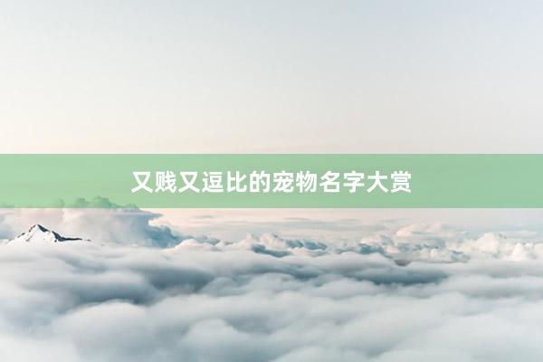 又贱又逗比的宠物名字大赏